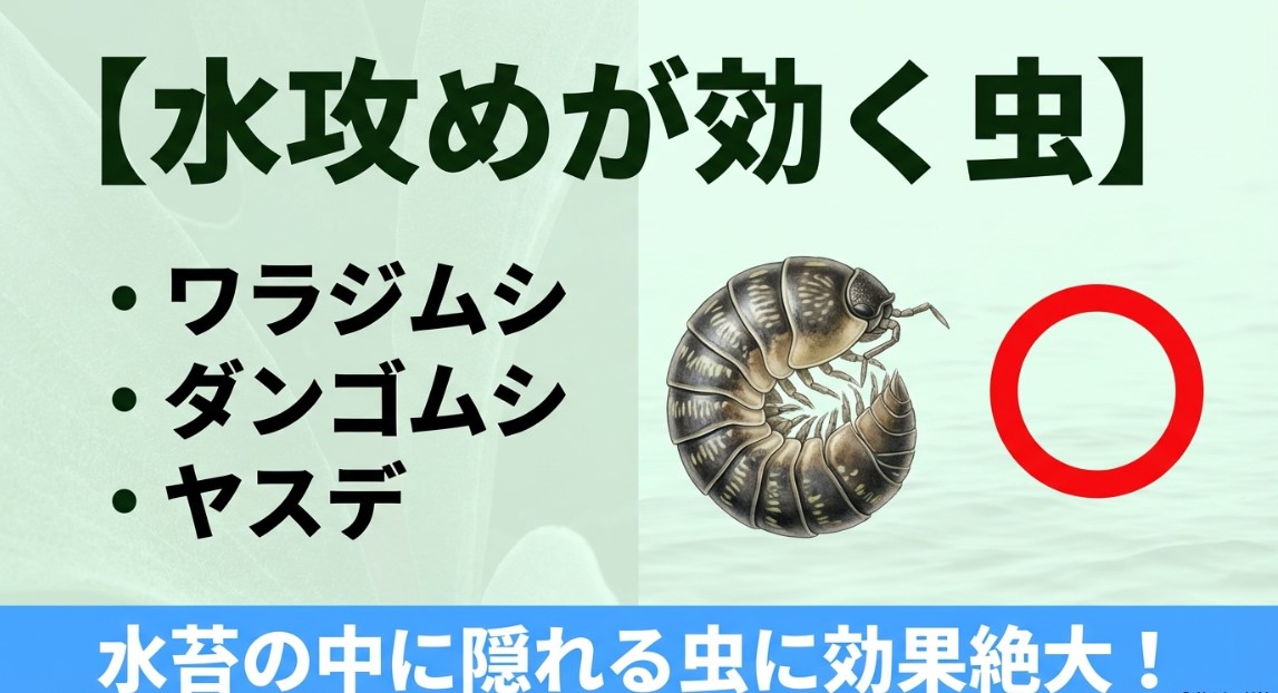 記事の前半で「どの虫にならやる価値があるのか」を視覚的に伝えます。