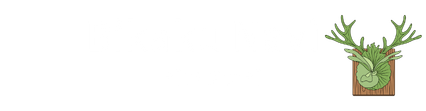 ビカクシダ完全ガイド：育て方・板付け・種類別の育成方法｜ビカクナビ