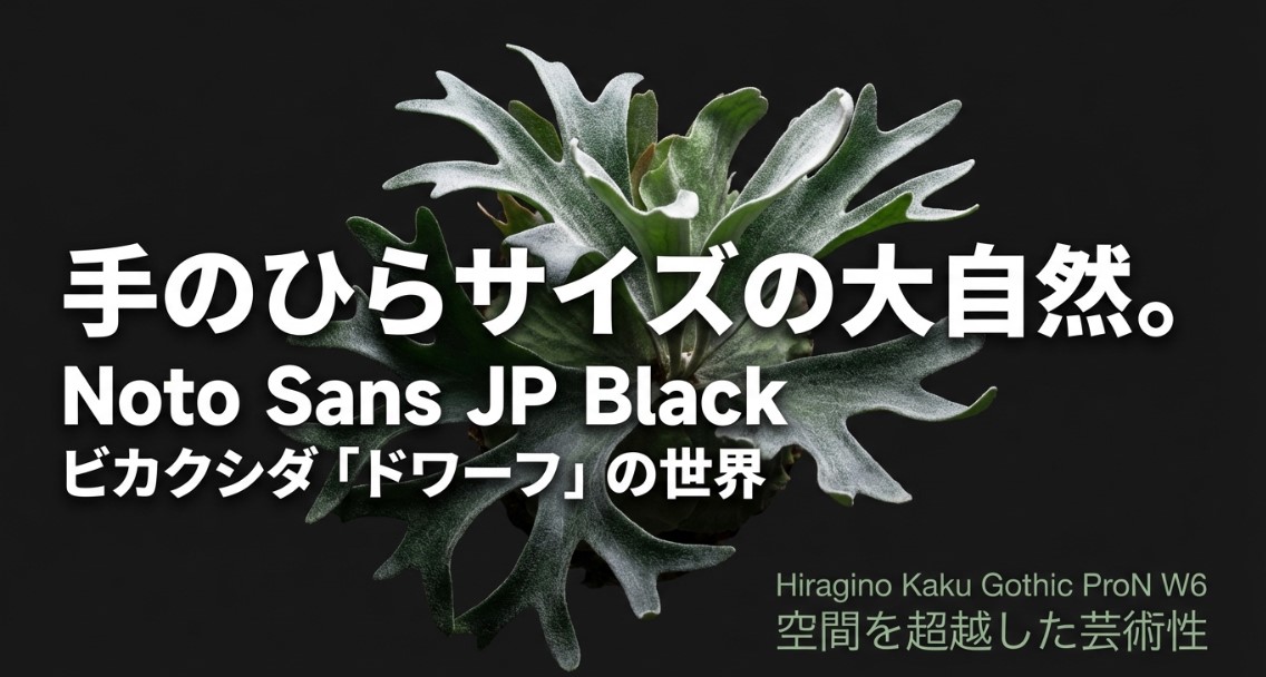 ビカクシダのドワーフとは？失敗を防ぐ3つのコツ｜ビカクナビ