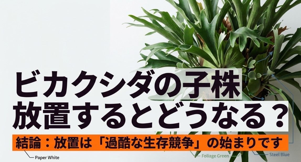 ビカクシダの子株を放置した場合の「過酷な生存競争」の始まりを示唆するタイトルスライド画像