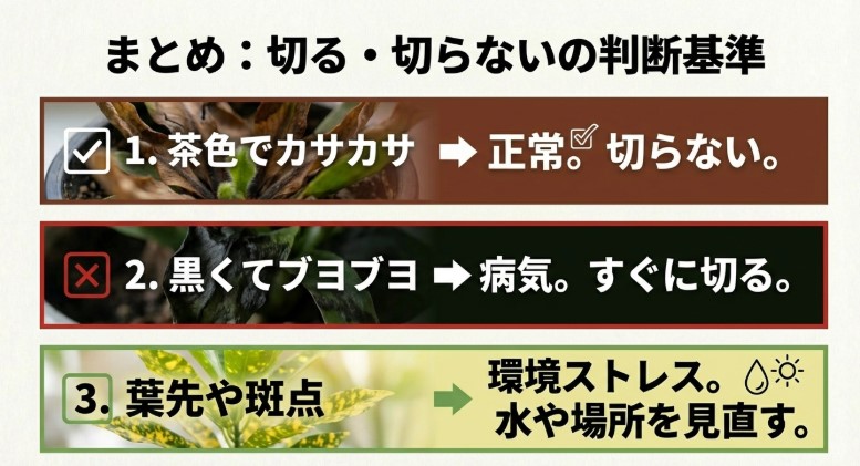 茶色でカサカサなら正常、黒くてブヨブヨなら病気、斑点は環境ストレスという判断基準をまとめたチェックリスト。