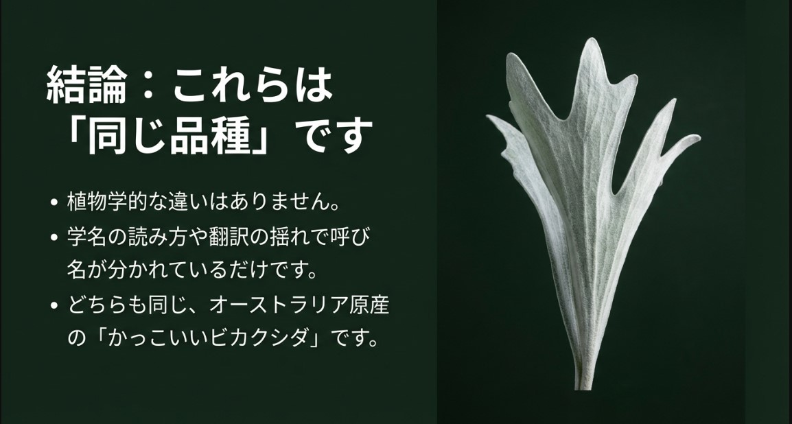 ビーチーとベイチーは植物学的な違いはなく、呼び名が分かれているだけの同じ品種であるという結論