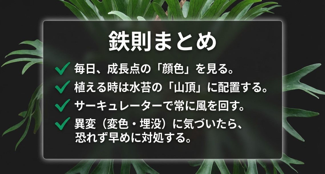 ビカクシダの成長点を守るための日々の観察と管理の鉄則リスト