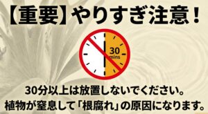 水攻めの注意点:30分以上の放置は植物の窒息と根腐れの原因になります