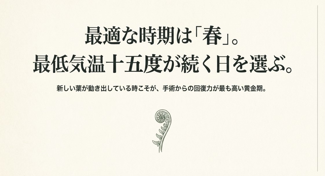 最適な時期は春であり、最低気温15度が続く日を選ぶべき理由（回復力が高い黄金期）を説明する図解スライド。