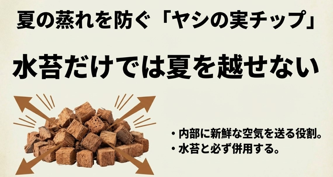 水苔とヤシの実チップを組み合わせた2層構造の図解