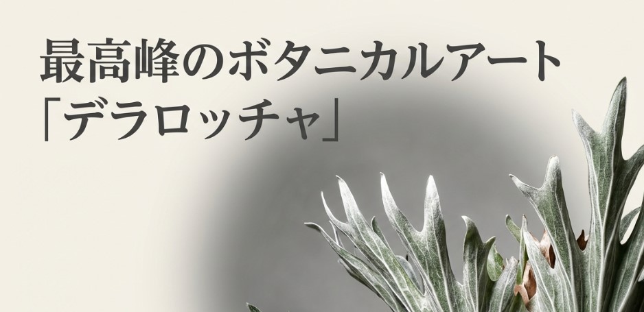 ビカクシダ・デラロッチャの美しさと迫力を表現したメインビジュアルスライド