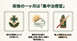 直射日光を避けた風通しの良い日陰のアイコンと、焦って肥料を与えることを禁止するアイコンのイラスト