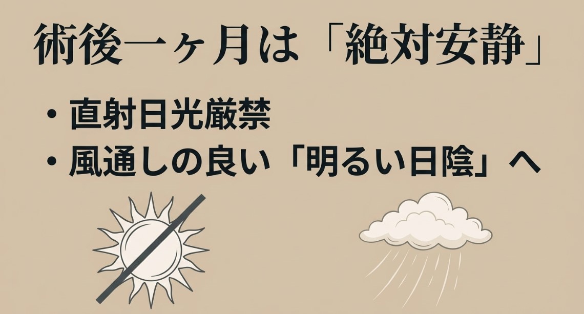 術後一ヶ月は「絶対安静」。直射日光厳禁、風通しの良い明るい日陰へと記載されたスライド