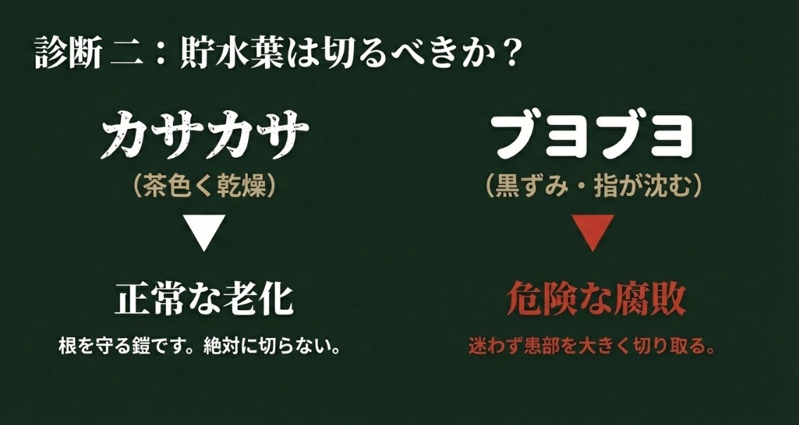 断水、隔離、強制乾燥、患部確認の4つの手順を示したレスキューフロー。