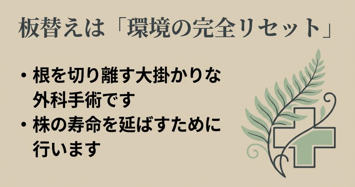板替えは「環境の完全リセット」。根を切り離す大掛かりな外科手術であり、株の寿命を延ばすために行なうと説明するスライド