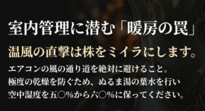 室内管理に潜む暖房の罠を警告するスライド。エアコンの温風直撃を避け、葉水で空中湿度を50%から60%に保つ注意喚起。