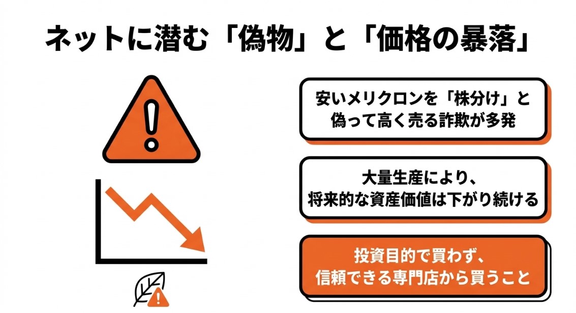 偽物問題と価格の暴落 ネットに潜むメリクロンを株分けと偽る詐欺と価格の暴落