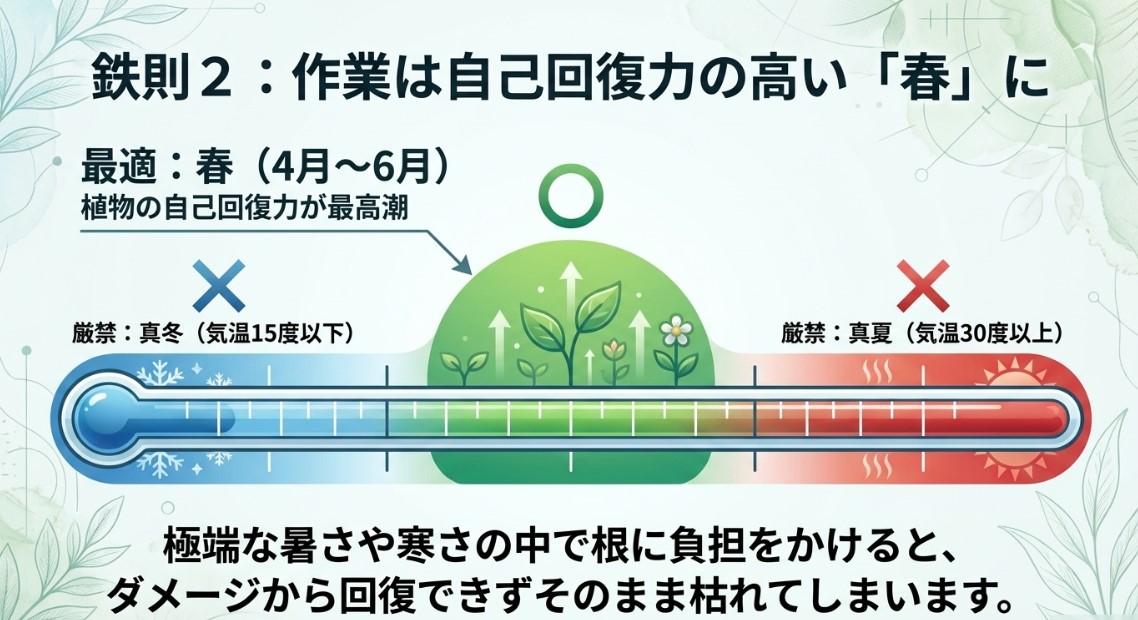 鉄則2：作業は自己回復力の高い「春」に。春（4月〜6月）が最適。真冬（15度以下）や真夏（30度以上）の作業は厳禁。