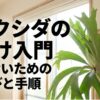 ビカクシダの壁掛け入門・材料選びと手順のタイトル