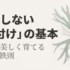 失敗しない「板付け」の基本、植物を美しく育てる4つの鉄則