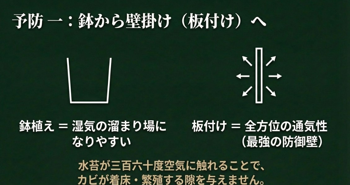 湿気が溜まる鉢植えと、全方位から空気に触れる板付けの通気性の違いを示すイラスト。