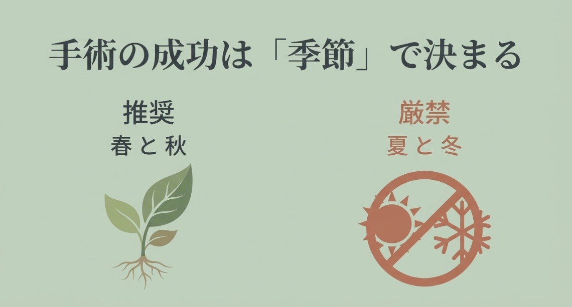 手術の成功は「季節」で決まる。推奨は春と秋、夏と冬は厳禁と記載されたスライド