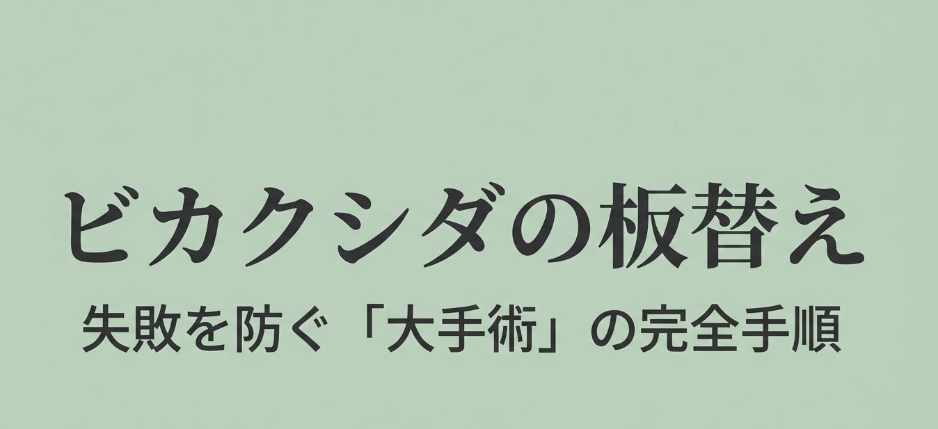 ビカクシダの板替え、失敗を防ぐ「大手術」の完全手順と書かれたタイトルスライド