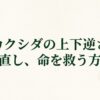 ビカクシダの上下逆さまを直して命を救う方法のタイトルスライド