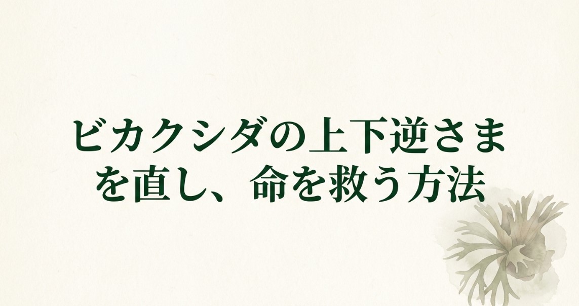 ビカクシダの上下逆さまを直して命を救う方法のタイトルスライド