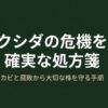 ビカクシダのカビと腐敗から株を守るための確実な処方箋のタイトルスライド