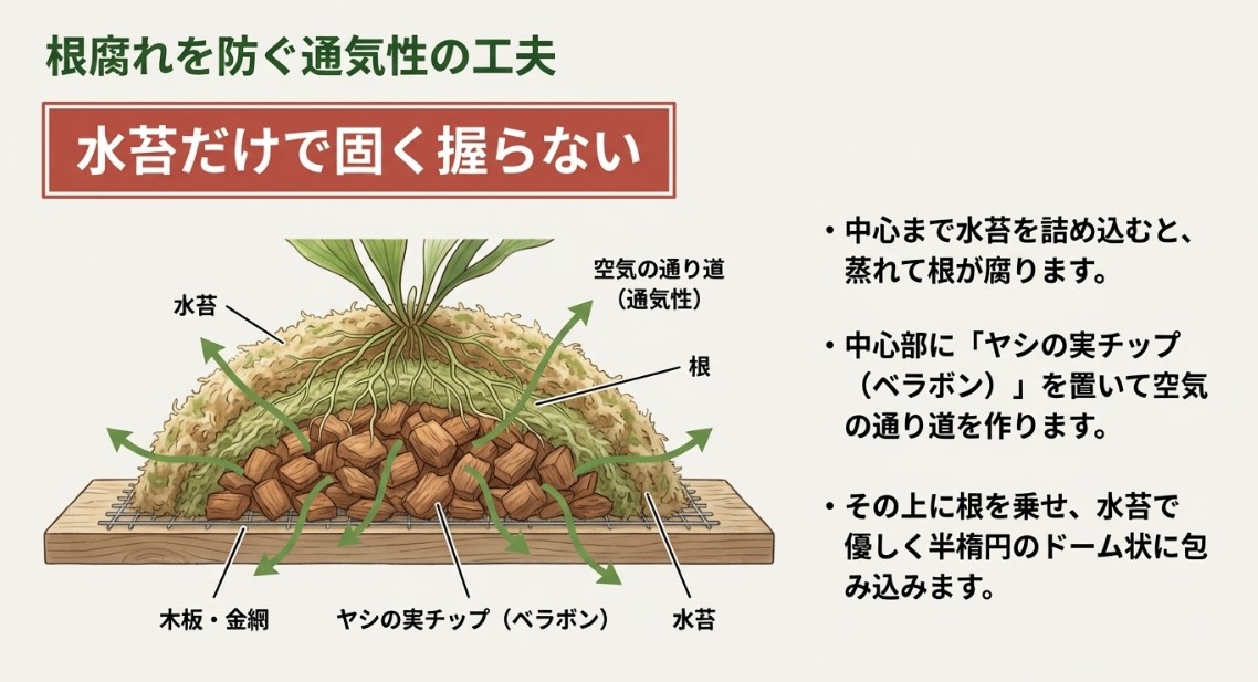 木板の上にヤシの実チップ（ベラボン）で空気の通り道を作り、水苔で根を包み込む二層構造の断面図