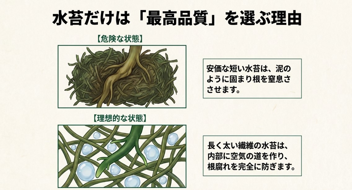 安価な短い水苔が泥のように固まる様子と、長く太い水苔が内部に空気の道を作る様子の比較図