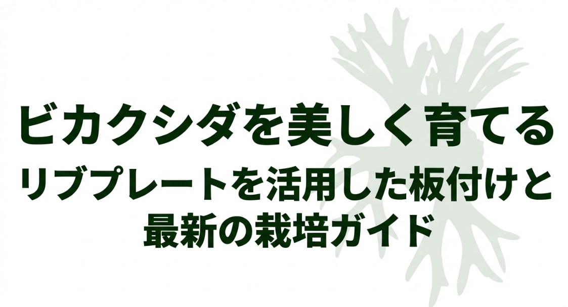 ビカクシダを美しく育てる リブプレートを活用した板付けと最新の栽培ガイド