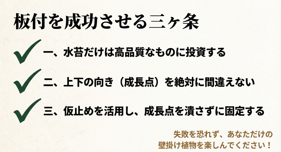 板付を成功させる三ヶ条（1.高品質な水苔に投資する、2.上下の向きを間違えない、3.仮止めを活用し成長点を潰さない）をまとめたリスト