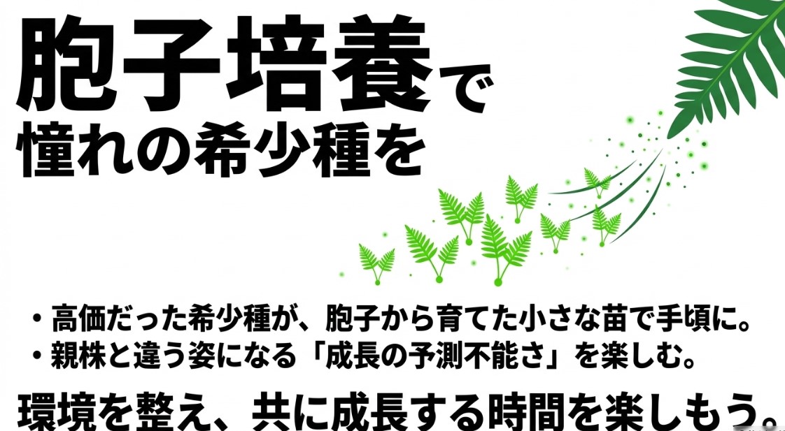 胞子培養で憧れの希少種を手に入れる楽しみについてのスライド