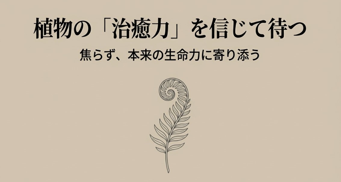 植物の「治癒力」を信じて待つ。焦らず、本来の生命力に寄り添うと書かれたスライド